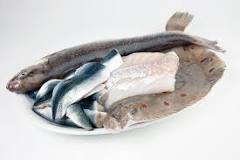 Kan man äta fisk från Östersjön?