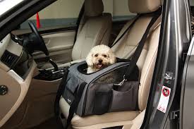 Pet Car Booster Or Carrier