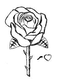 Rose bud and rose blossom coloring pages. Free Printable Roses Coloring Pages For Kids