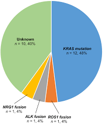 Pie Chart Of The Frequencies Of Driver Oncogenes Detected