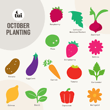 October Gardening Guide