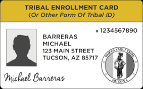 Tribal id cards differ slightly from one issuing organization to another. Id At The Polls Citizens Clean Elections Commission