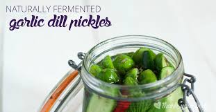 naturally fermented garlic dill pickles