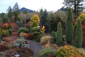Conifers Importance In Garden Design