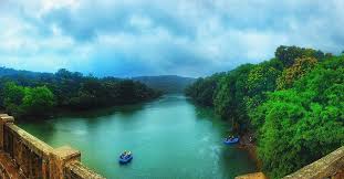 10 honest facts about dandeli in