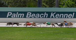 palm beach kennel club looks ahead to