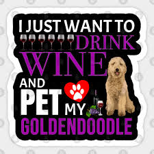 goldendoodle owner dog breed dog lover