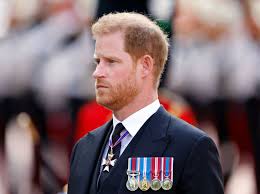 prince harry in military uniform