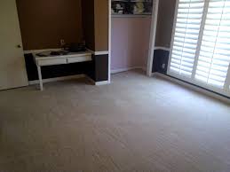 common carpet cleaning shooing