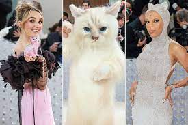 cat choupette at the 2023 met gala