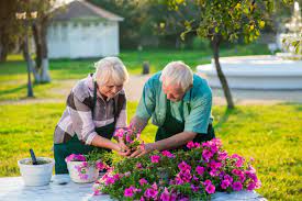 senior gardening the benefits of a