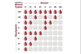 Knowing Your Blood Type Is Vital Local News The Telegram