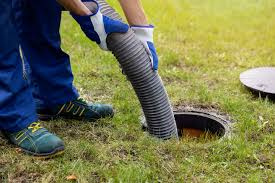get rid of bugs in the septic system