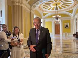 schumer levels heavy criticism at