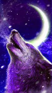 ❤ get the best wolf wallpapers on wallpaperset. Cool Wolf Wallpaper Kolpaper Awesome Free Hd Wallpapers