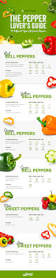 The Pepper Lovers Guide To Sweet Peppers Naturefresh Farms