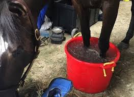 ice liniment poultice oh my top