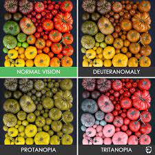 diffe types of color blindness and