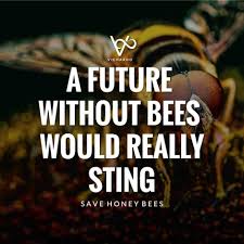 What does a bee sting feel like? A Future Without Bees Would Really Sting Save Honey Bees World Honey Bee Day Bestenglishquotes Vicharoo Com