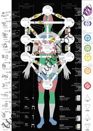 Tree Of Life Digital Chart