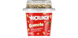 lowfat yogurt with kellogg s granola