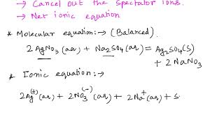 Solved Write The Net Ionic Equation