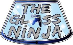 The Glass Ninja
