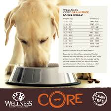 Wellness Core Large Breed Dog Food