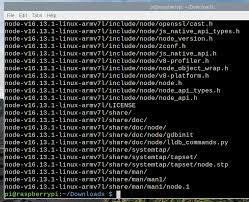install node js on raspberry pi 4