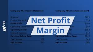 net profit margin you