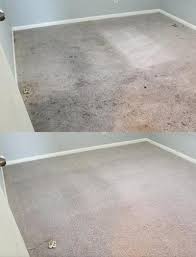 carpet cleaning services in kingwood tx