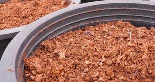 peat moss and sand mixture