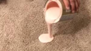 remove spilt paint from carpet