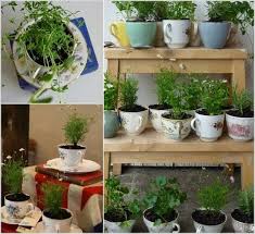 24 Indoor Herb Garden Ideas To Look For