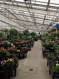 gale s garden center willoughby hills