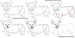 How to draw a realistic dog. How To Draw A Corgi Puppy Easy Step By Step Realistic Drawing Tutorial For Beginners How To Draw Step By Step Drawing Tutorials