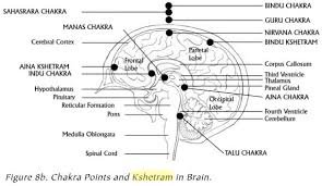 Chakra Points And Kshetram In Brain Chakra Locations