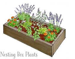 Plant A Nesting Box Herb Garden For