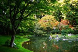Japanese Zen Garden Zen Garden