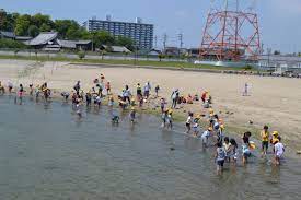 亀崎海浜緑地公園へ春の遠足に行ってきました。: 愛知県高浜市立高浜小学校 BLOG