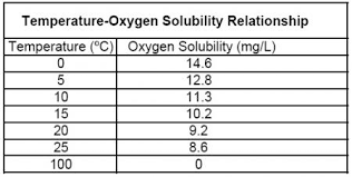 What Is Affecting Your Dissolved Oxygen Measurements Part 1