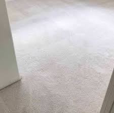 1 commerical carpet cleaning in