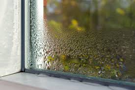 condensation on your windows