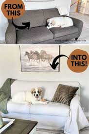 Couch Cover For Dogs Pretty Diy Home
