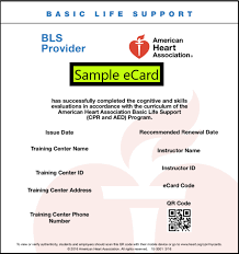 Maybe you would like to learn more about one of these? American Heart Association Bls Bls Certification San Diego Bls Provider Classroom Course I Master Cpr