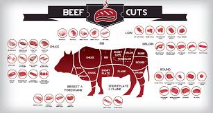 diffe cuts of beef