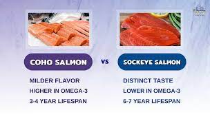 coho salmon vs sockeye salmon what s