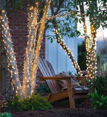The Prettiest Backyard Lighting Ideas