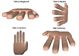 There is no flex vst yet, just the native plugin, and yes, it's currently only available in the beta releases of fl. Hand Orientations In Which Positions The Participants Were Asked To Download Scientific Diagram