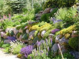 Rock Gardens Landscape Denver By